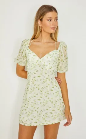 Amelia Mini embroidery Dress